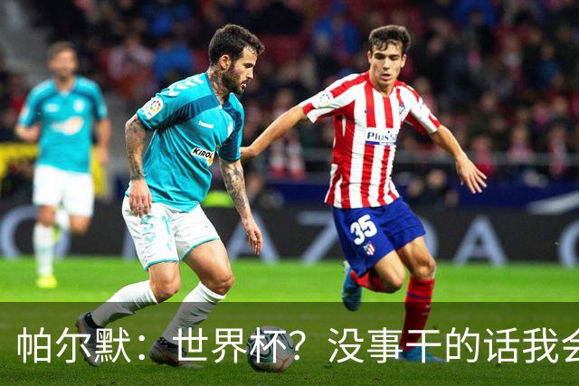 帕尔默：世界杯？没事干的话我会看看，我希望他们能走到最后