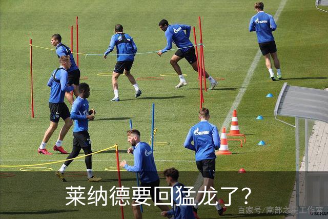 莱纳德要回猛龙了？